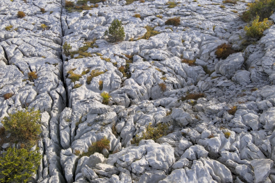 JN 20520r Lapiaz (Plateau du Parmelan)